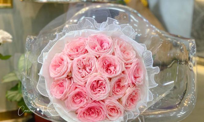 荔枝玫瑰代表什么含义？花语背后的爱情寓意是什么？