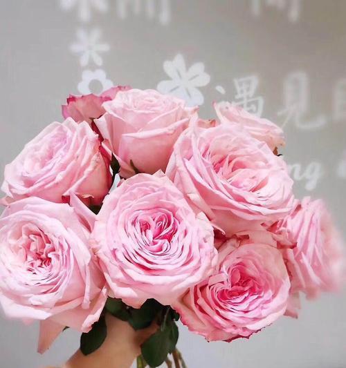荔枝玫瑰代表什么含义？花语背后的爱情寓意是什么？