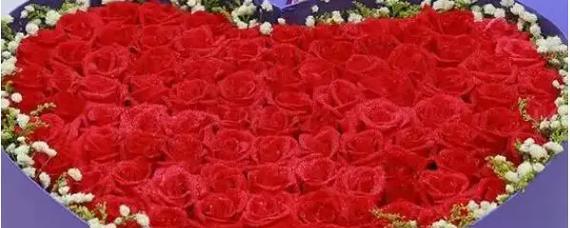 100朵玫瑰代表什么意思？100朵玫瑰花语全解析？