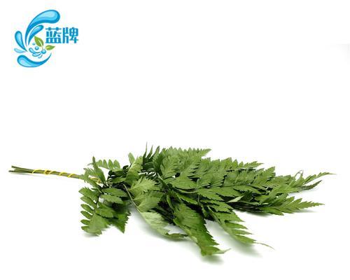 羊齿的花语是什么意思？羊齿的含义有哪些常见问题？