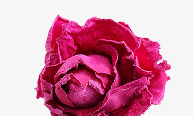 一朵玫瑰花代表什么含义？送花时需要注意什么？