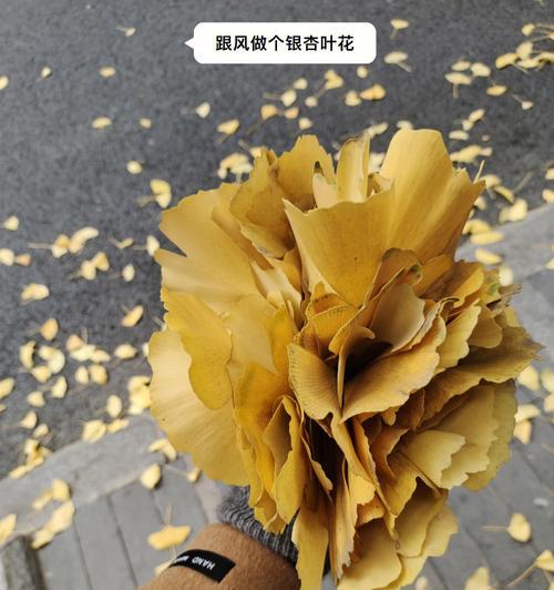 银杏叶代表爱情吗？银杏叶的寓意和象征是什么？