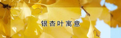 银杏叶代表爱情吗？银杏叶的寓意和象征是什么？