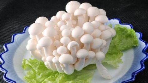 白玉菇清洗技巧有哪些？如何确保白玉菇彻底干净？
