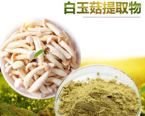 白玉菇清洗技巧有哪些？如何确保白玉菇彻底干净？