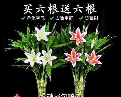 百合好用什么水养？水养百合的正确方法是什么？