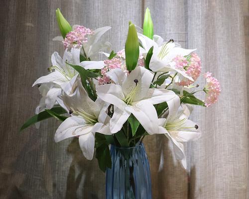 百合花插花怎么养？插花后的护理和注意事项是什么？