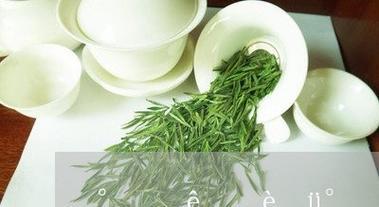 百年老枞是什么茶类品牌？它有哪些独特特点？