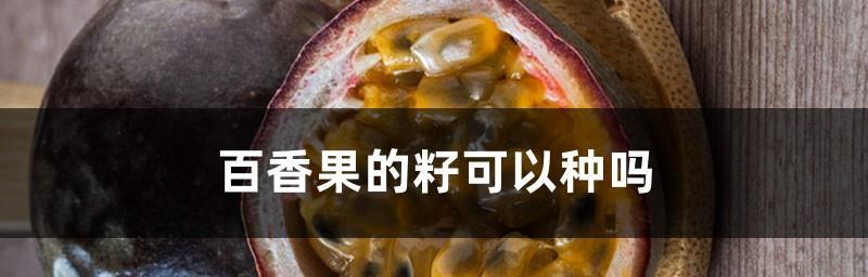 百香果种子种植可行吗？如何提高发芽率？