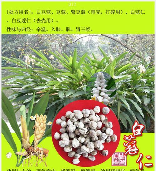 半边莲配土方法是什么？种植土壤有何讲究？