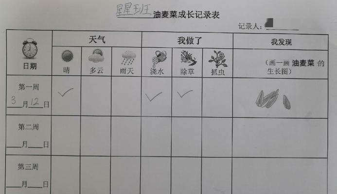 棒棒菜怎么种？最佳种植时间是什么时候？