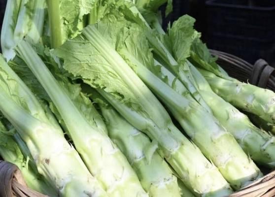 棒菜和莴笋是同一种蔬菜吗？它们有什么区别？
