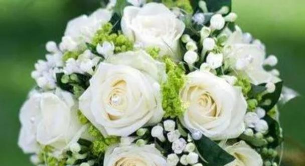 36朵玫瑰代表什么？36朵玫瑰花语的深层含义是什么？