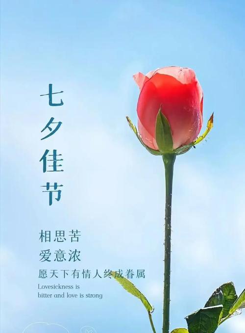 59朵玫瑰在网络用语中代表什么？