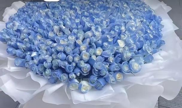 紫蓝玫瑰的寓意是什么？有哪些图片展示？