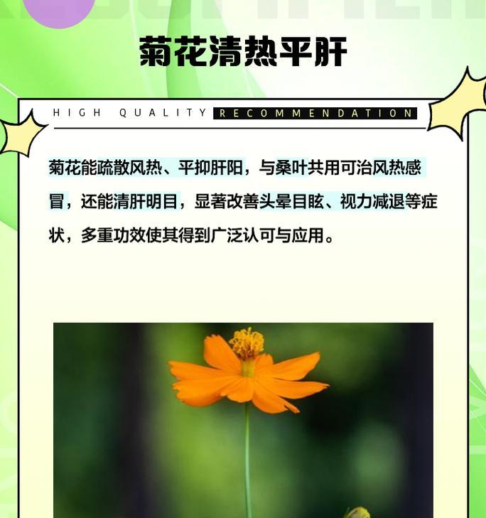 一年级下册简短句子关于菊花有哪些？如何用成语描述菊花？