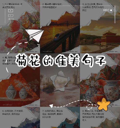 有关菊花的简单句子有哪些？适合四年级学生的有哪些？