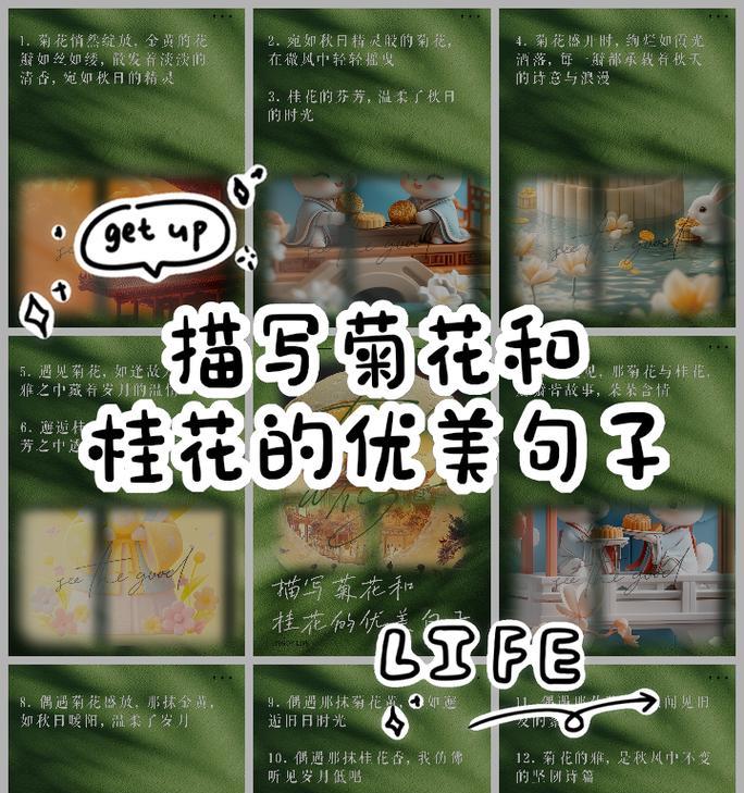 如何用50字左右的短句描写菊花？