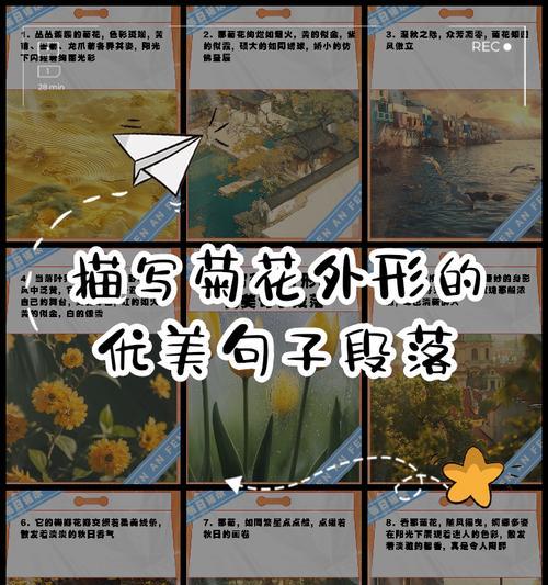 如何用50字开头简单写关于菊花的优美句子？