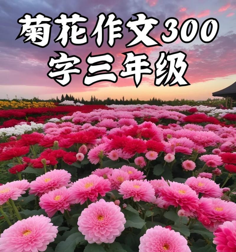 如何用300字描写菊花？适合三年级学生的短句有哪些？