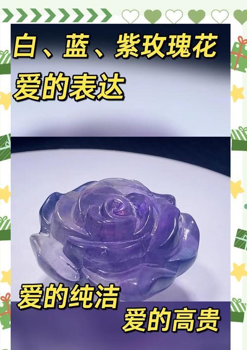 紫蓝玫瑰的图片寓意是什么？代表了哪些情感？