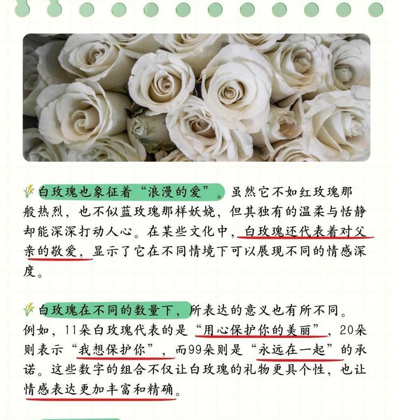 56朵白玫瑰花的含义是什么？如何用简单图片表达爱意？