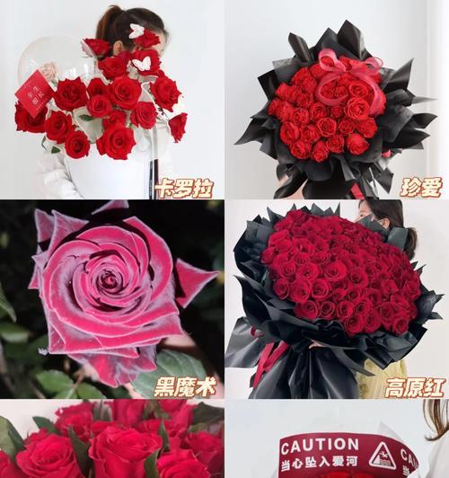 1166朵玫瑰花代表什么含义？