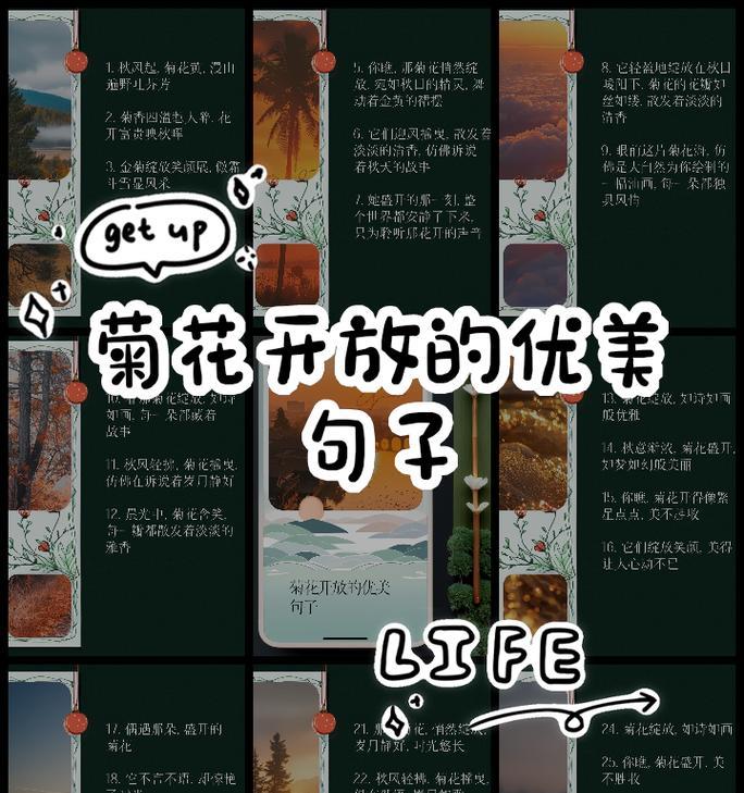 如何简单描述菊花？300字大全中有哪些句子？