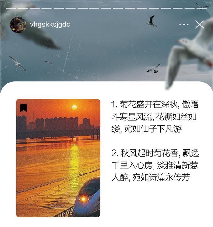 写菊花文章开头句子怎么写？有哪些吸引人的开头？