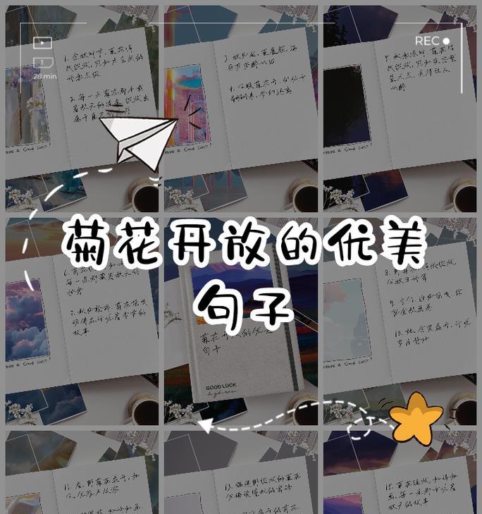 菊花的句子有哪些？50字的介绍和图片在哪里？
