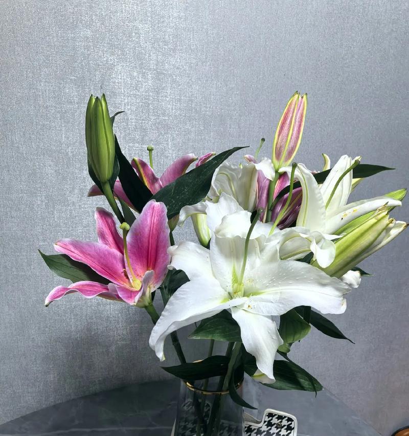 七朵玫瑰加两朵百合的寓意是什么？含义是什么？