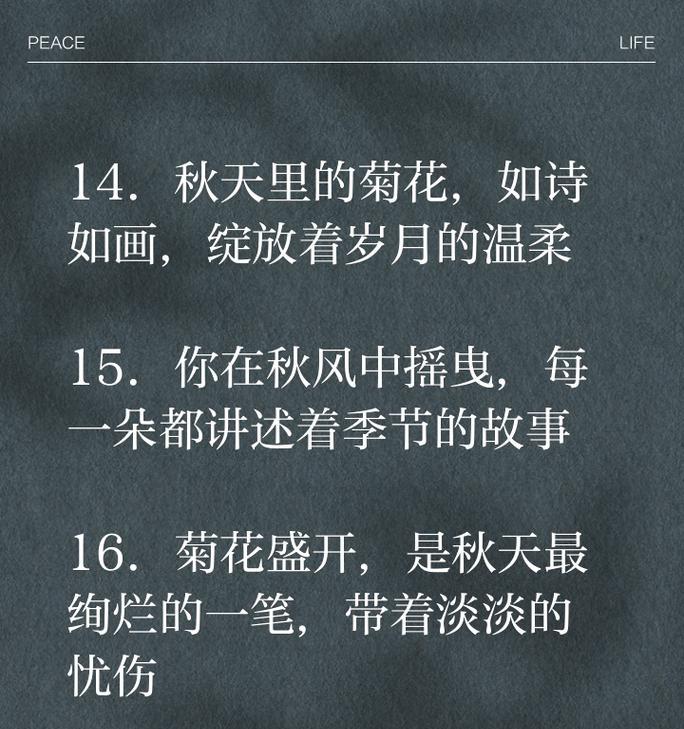 菊花的优美句子有哪些？图片中如何简单欣赏？