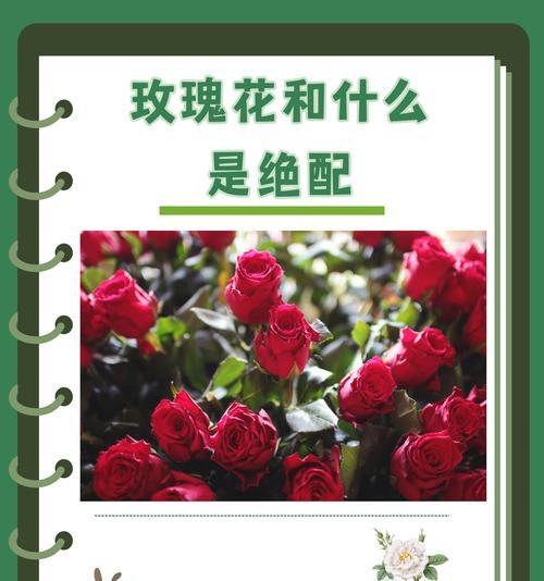 送三支玫瑰花有何特殊含义？代表了什么情感？