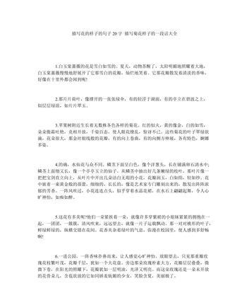 用菊花写一段话40个字左右