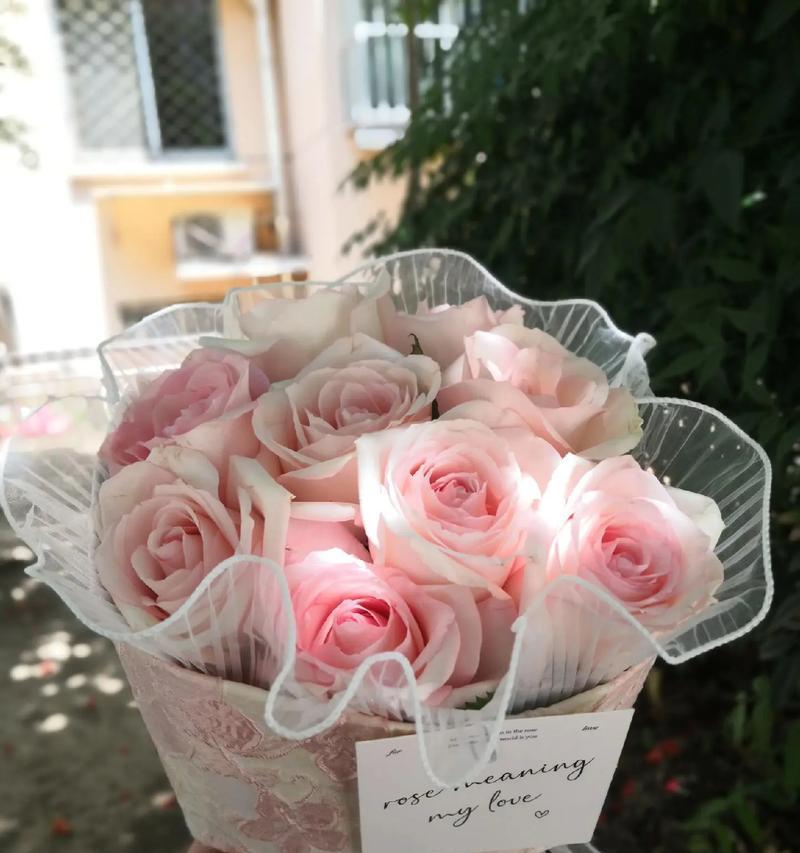 粉色玫瑰鲜花花束视频