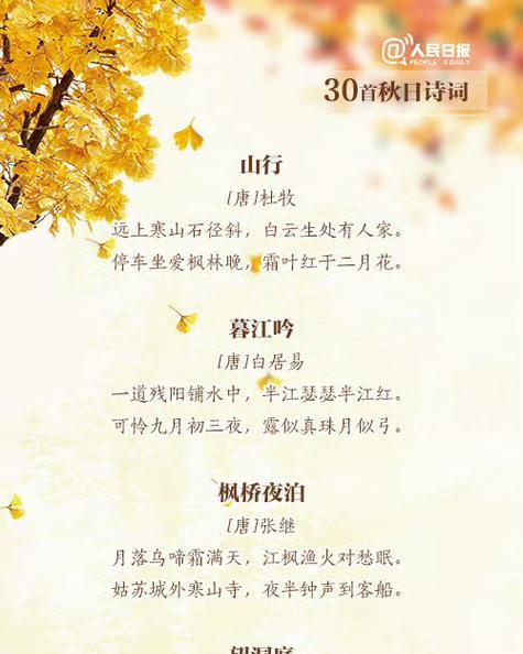 采完菊花的感想是什么呢啊