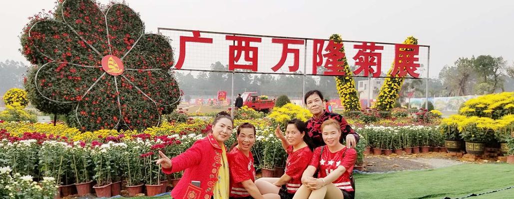采完菊花的感想是什么呢啊