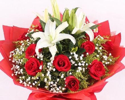 2朵百合花和13朵玫瑰花哪个好