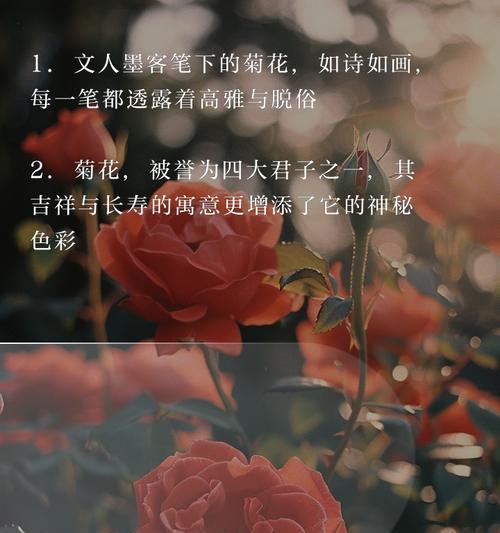 文人墨客赞美菊花的文章是什么诗类型