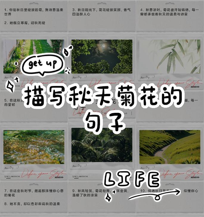文人墨客赞美菊花的文章是什么诗类型