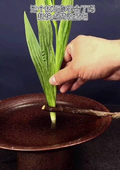 鸢尾插花制作方法视频大全窍门