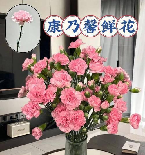 康乃馨文案主题通常表达什么情感？