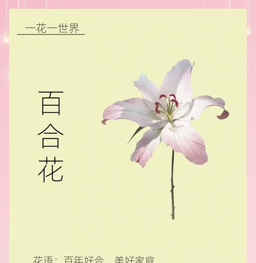 百合君在网络用语中指代什么？