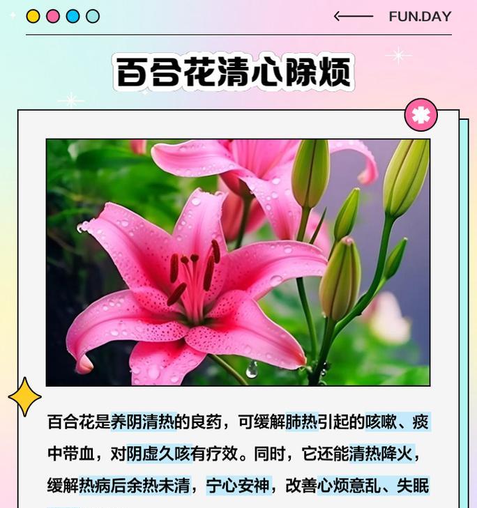 如何正确养护百合花？