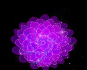 花卉紫色胶带的含义是什么？