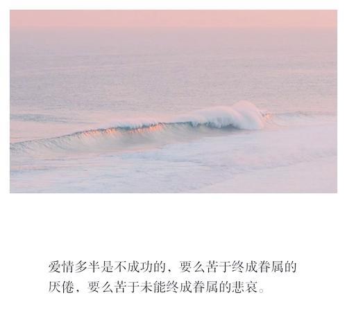 “不是白玫瑰不是朱砂痣”这句话是什么意思？它有什么深层含义？