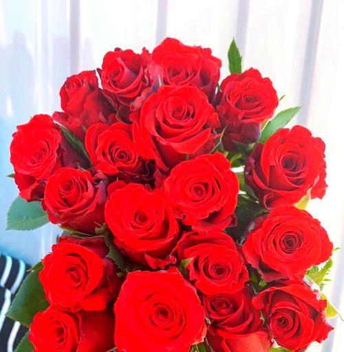 15朵玫瑰花的寓意是什么？玫瑰花数量15代表什么？