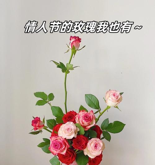 男生制作玫瑰花给女生饮用有何含义？这代表了什么情感？