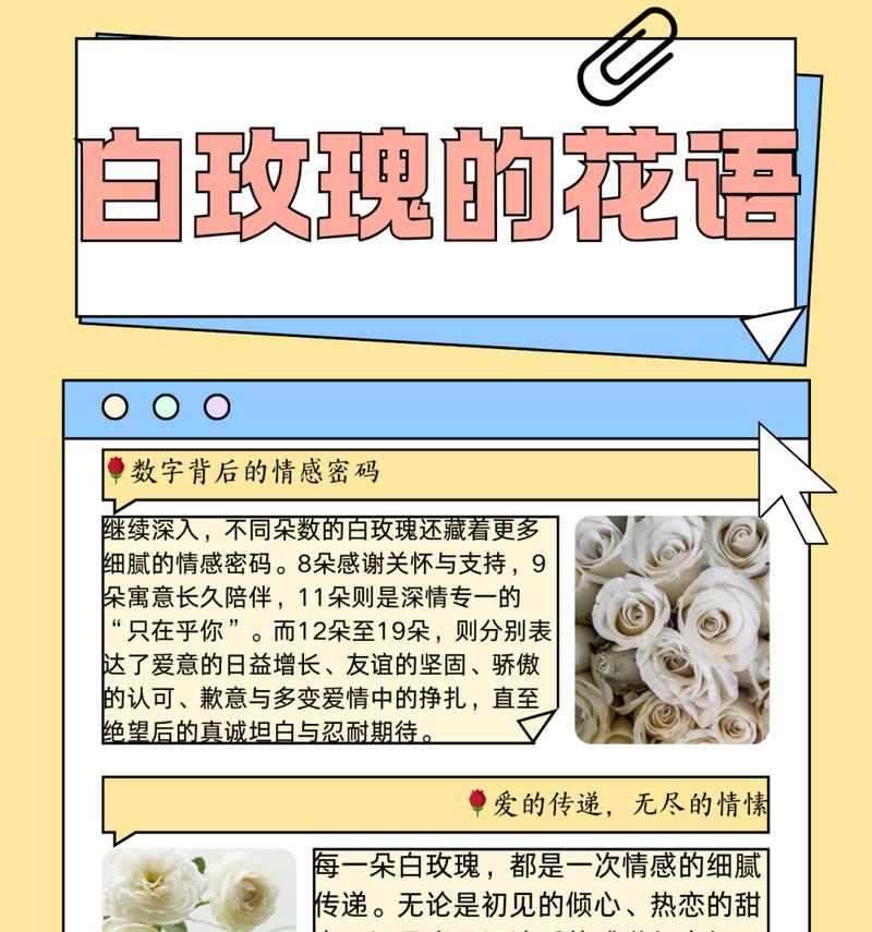 白玫瑰与茉莉搭配有何花语？这两种花组合的含义是什么？