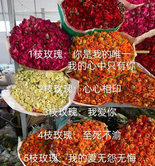 背后拿出玫瑰花什么意思？背后递玫瑰的含义是什么？
